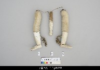 藏品(人形淨琉璃一組-右腳)的圖片
